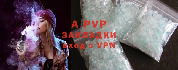 PSILOCYBIN Беломорск