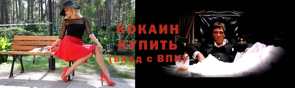 соль курить ск Белокуриха
